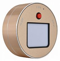 Накладной светильник Arte Milano Am-track-sockets 380011TL/Light Gold в Челябинске