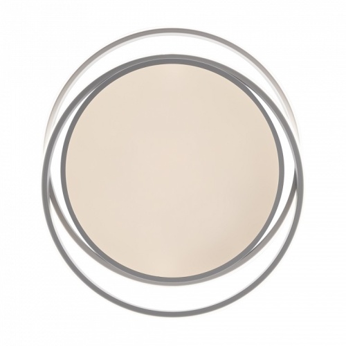 Накладной светильник Freya  FR10031CL-L98W в Нижнем Новгороде фото 5