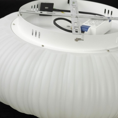 Накладной светильник Lussole Claudia LSP-0921 в Нижнем Новгороде фото 2