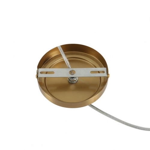 Подвесной светильник Lumion VERMONT 8275/1A в Нижнем Новгороде фото 7