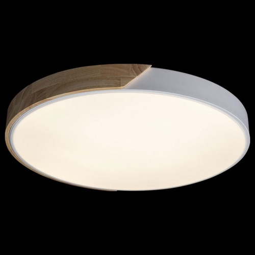 Накладной светильник Loft it Axel 3 10004/36 White в Нижнем Новгороде фото 4