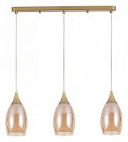 Подвесной светильник Arte Lamp Barry A7951SP-3GO в Туле