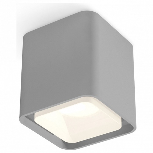 Накладной светильник Ambrella Light XS XS7842010 в Нижнем Новгороде