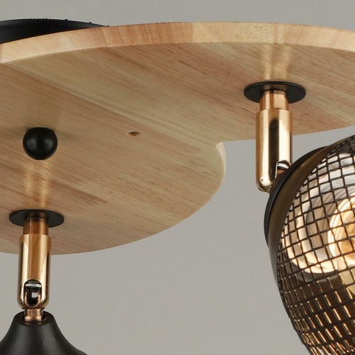 Потолочная люстра 04722-0.3-03 в Нижнем Новгороде фото 3