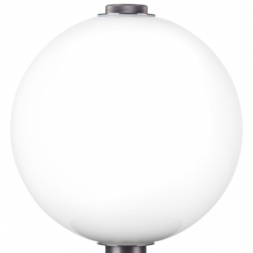 Настольная лампа декоративная Lightstar Colore 805906 в Белово фото 7