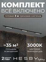 Комплект трековый Hesby Lighting Skylite №1 HSBL_kompl_S001_NI3B3K в Нижнем Новгороде