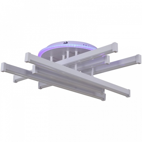 Потолочная люстра 01030-0.3-06 WT в Нижнем Новгороде фото 6