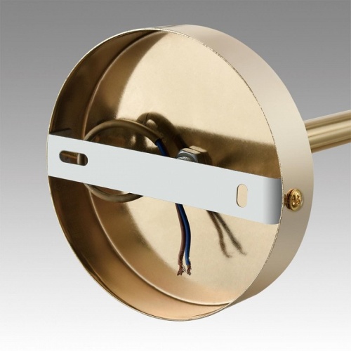 Люстра на штанге Lumion Kassia 6586/10 в Нижнем Новгороде фото 6