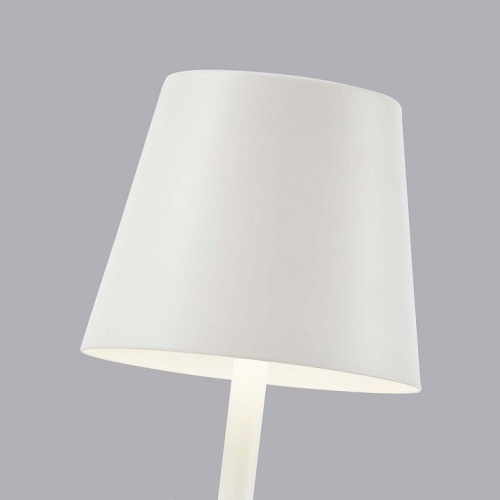 Настольная лампа декоративная F-promo Pyari 4614-1T в Нижнем Новгороде фото 4