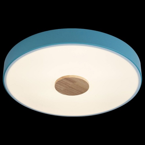 Накладной светильник Loft it Axel 2 10003/24 Blue в Нижнем Новгороде фото 3