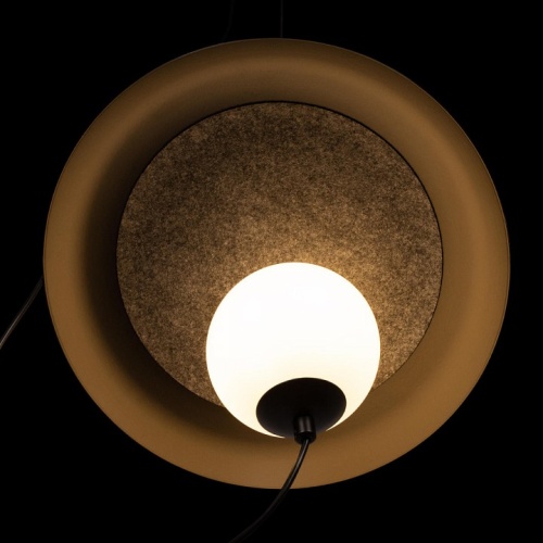 Подвесной светильник Loft it Wonders 10237P Black в Нижнем Новгороде фото 2