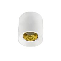 DK3090-WH+YE Светильник накладной IP 20, 10 Вт, GU5.3, LED, белый/желтый, пластик в Городце