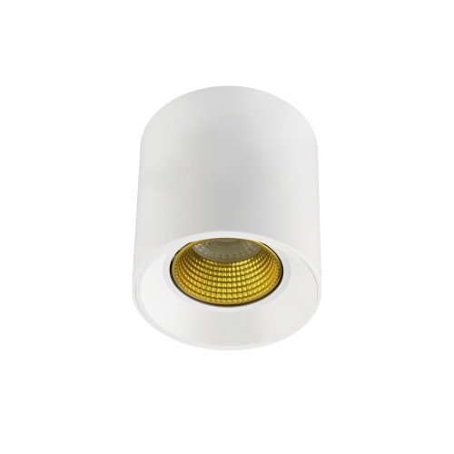 DK3090-WH+YE Светильник накладной IP 20, 10 Вт, GU5.3, LED, белый/желтый, пластик в Чегеме