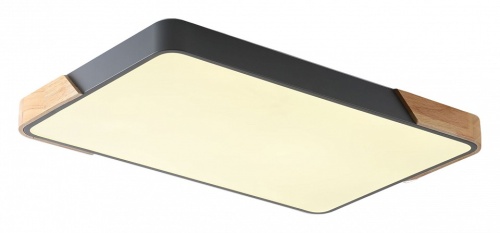 Накладной светильник Zortes Alberro ZRS.01277.60 в Нижнем Новгороде фото 2