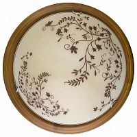 Накладной светильник TopLight Irene TL9630Y-00OA в Нижнем Новгороде