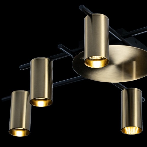 Потолочная люстра Loft it Tribes 8120C-6 в Нижнем Новгороде фото 2