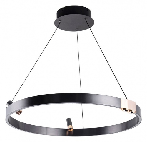 Подвесная люстра Arte Lamp Cesare A1993SP-30BK в Нижнем Новгороде фото 2