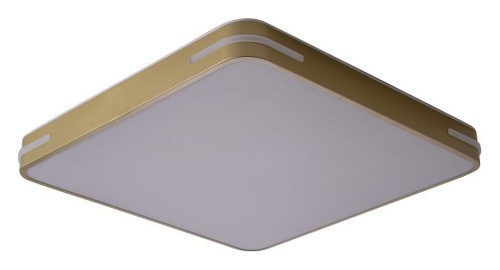 Накладной светильник Zortes Gabby ZRS.1215.04 в Нижнем Новгороде фото 11