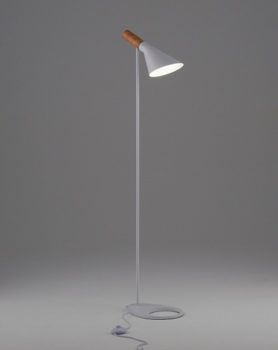 Торшер Moderli Turin V11336-1F в Нижнем Новгороде фото 7