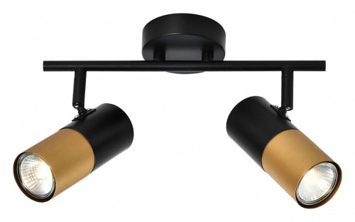 Спот Rivoli Belladonna Б0057931 в Нижнем Новгороде фото 4