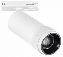 Светильник на штанге ST-Luce BASE ST385.546.20 в Нижнем Новгороде