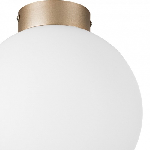 Накладной светильник Lightstar Globo 812023 в Нижнем Новгороде фото 2