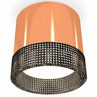 Накладной светильник Ambrella Light XS XS8122021 в Нижнем Новгороде