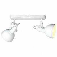 Спот Arte Lamp Martin A5213AP-2WG в Слободском