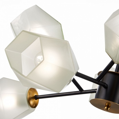 Люстра на штанге EVOLUCE Terramo SLE205102-08 в Нижнем Новгороде фото 2