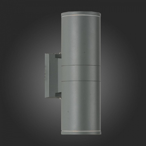 Светильник на штанге ST-Luce SL561 SL561.701.02 в Нижнем Новгороде фото 3