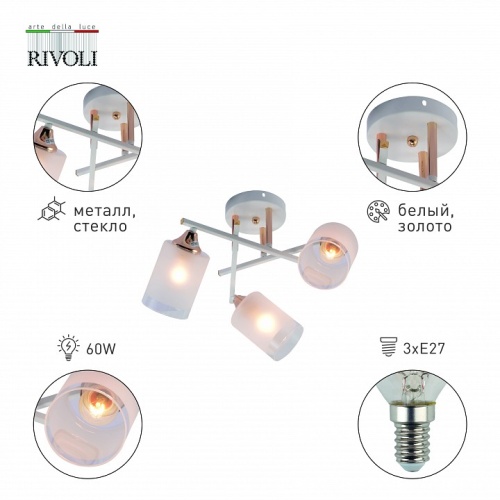 Люстра на штанге Rivoli Tammy Б0059258 в Нижнем Новгороде фото 2