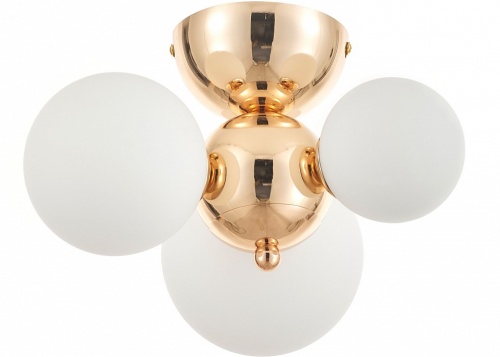 Потолочная люстра Rivoli Liviana Б0066413 в Нижнем Новгороде фото 5