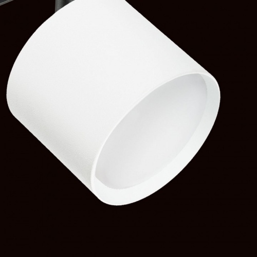 Светильник на штанге Lightstar Rullo PRO3486 в Нижнем Новгороде фото 2