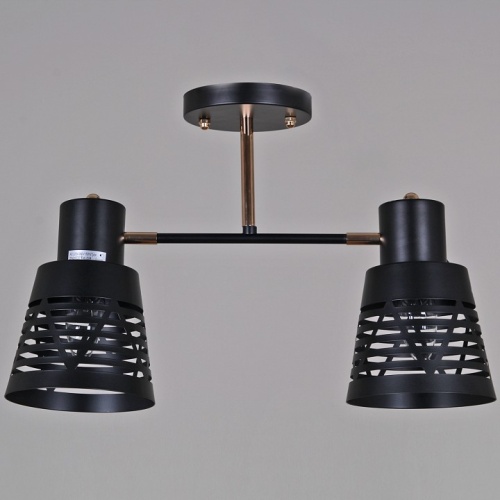 Светильник на штанге 06074-3.3-02 BK+FG в Нижнем Новгороде фото 4