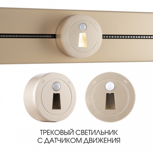 Накладной светильник Arte Milano Am-track-sockets-39 397953TLS/LWS Gold в Нижнем Новгороде фото 5