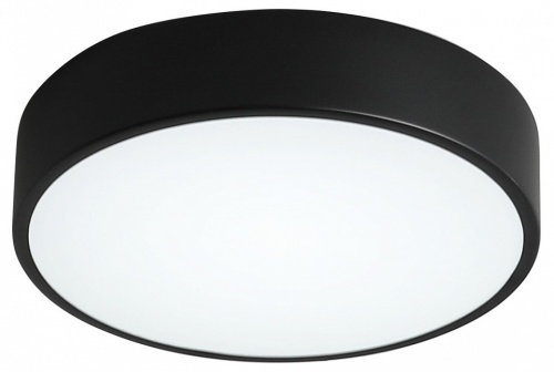 Накладной светильник Zortes Tortty ZRS.02563.48 в Нижнем Новгороде фото 6