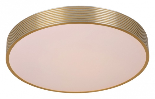 Накладной светильник Lucide Malin 79184/24/02 в Нижнем Новгороде фото 4