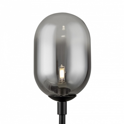 Настольная лампа декоративная Freya Tesse FR1011TL-01B в Нижнем Новгороде фото 2