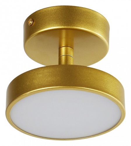 Светильник на штанге F-promo Atma 3059-1P в Нижнем Новгороде