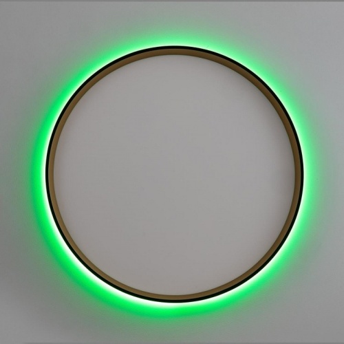 Накладной светильник Citilux ETALON CL750401R в Нижнем Новгороде фото 12