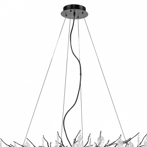 Подвесная люстра Wertmark Daniela WE182.19.043 в Нижнем Новгороде фото 2