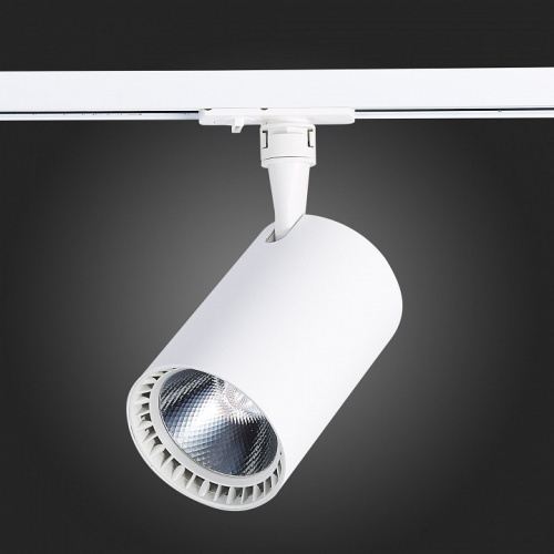 Светильник на штанге ST-Luce Cami ST351.546.30.36 в Нижнем Новгороде фото 6