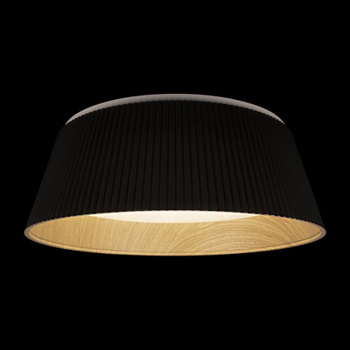 Накладной светильник Loft it Evans 10224 Black в Нижнем Новгороде фото 4