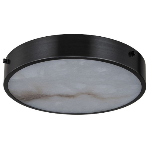 Накладной светильник Belfast Devon 3395-4 BL MB в Нижнем Новгороде фото 3