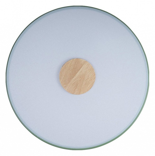 Накладной светильник Loft it Axel 2 10003/24 Green в Нижнем Новгороде фото 4