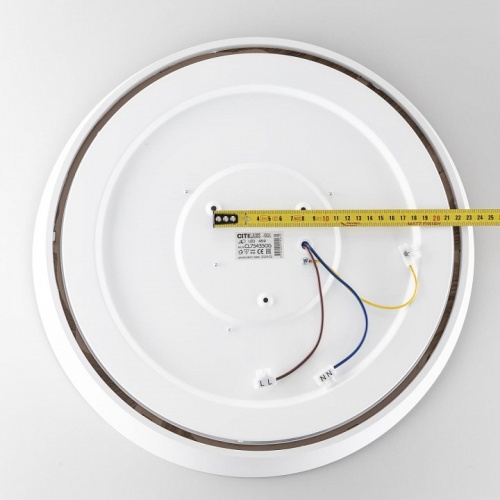 Накладной светильник Citilux BONNY CL754350G в Нижнем Новгороде фото 9