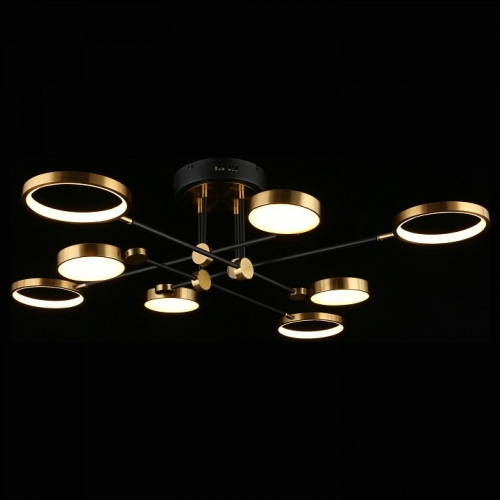 Потолочная люстра Aployt Ines APL.043.07.65 в Нижнем Новгороде фото 12