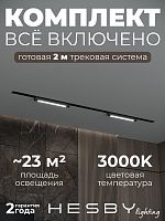 Комплект трековый Hesby Lighting Skylite №1 HSBL_kompl_S001_VI2B3K в Нижнем Новгороде