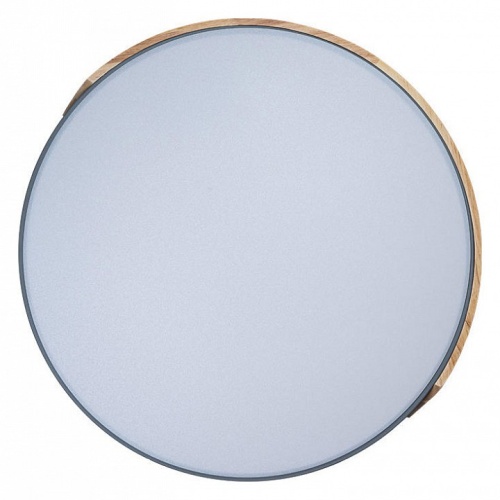 Накладной светильник Loft it Axel 3 10004/36 Grey в Нижнем Новгороде фото 5