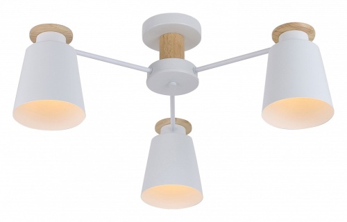 Потолочная люстра Rivoli Adna Б0053435 в Нижнем Новгороде фото 3